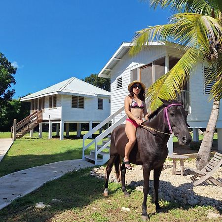 Horse Cottage Sarteneja Luaran gambar