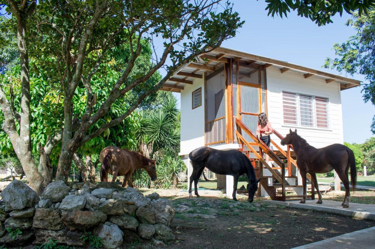 Horse Cottage Sarteneja Luaran gambar