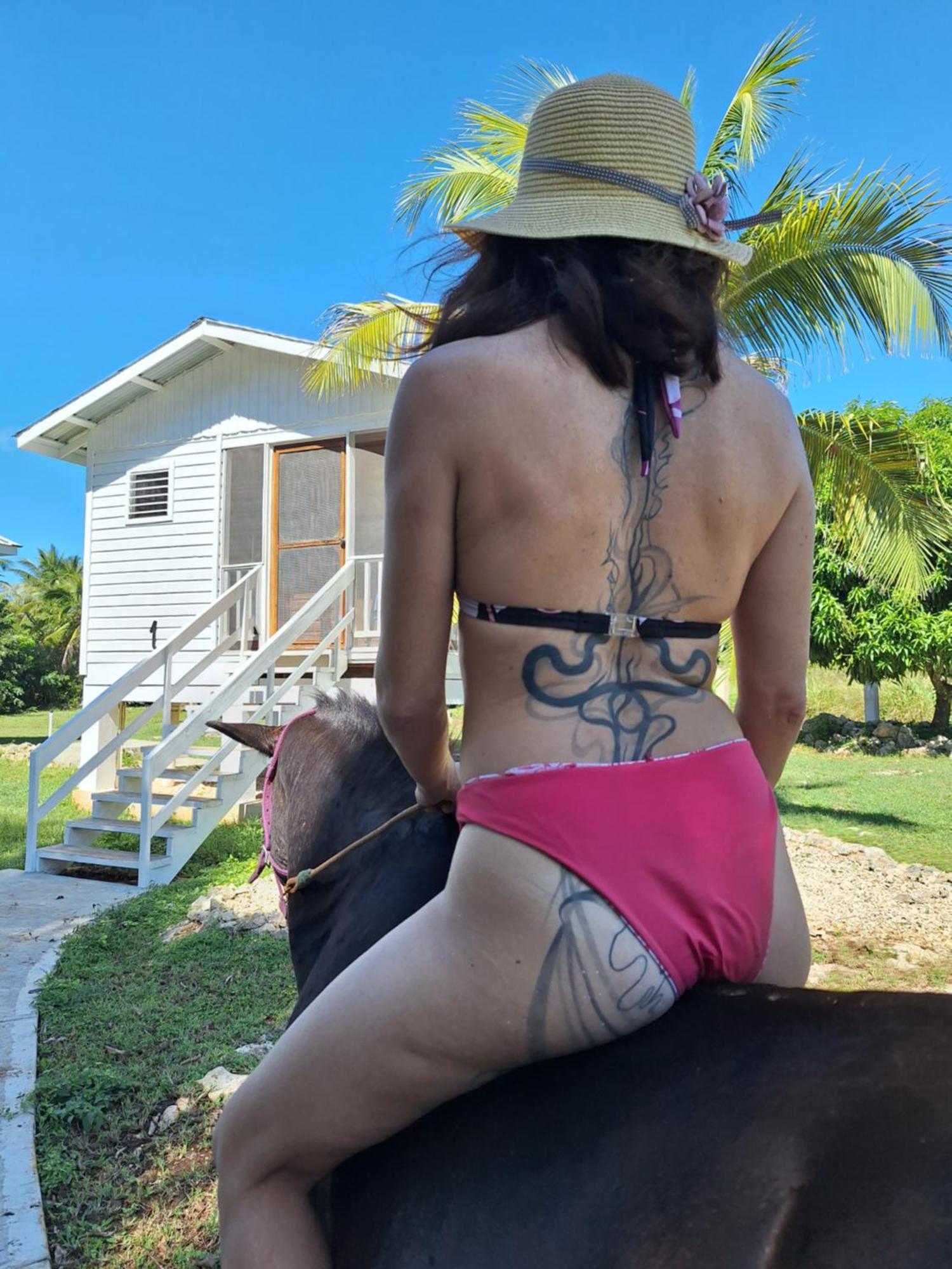Horse Cottage Sarteneja Luaran gambar