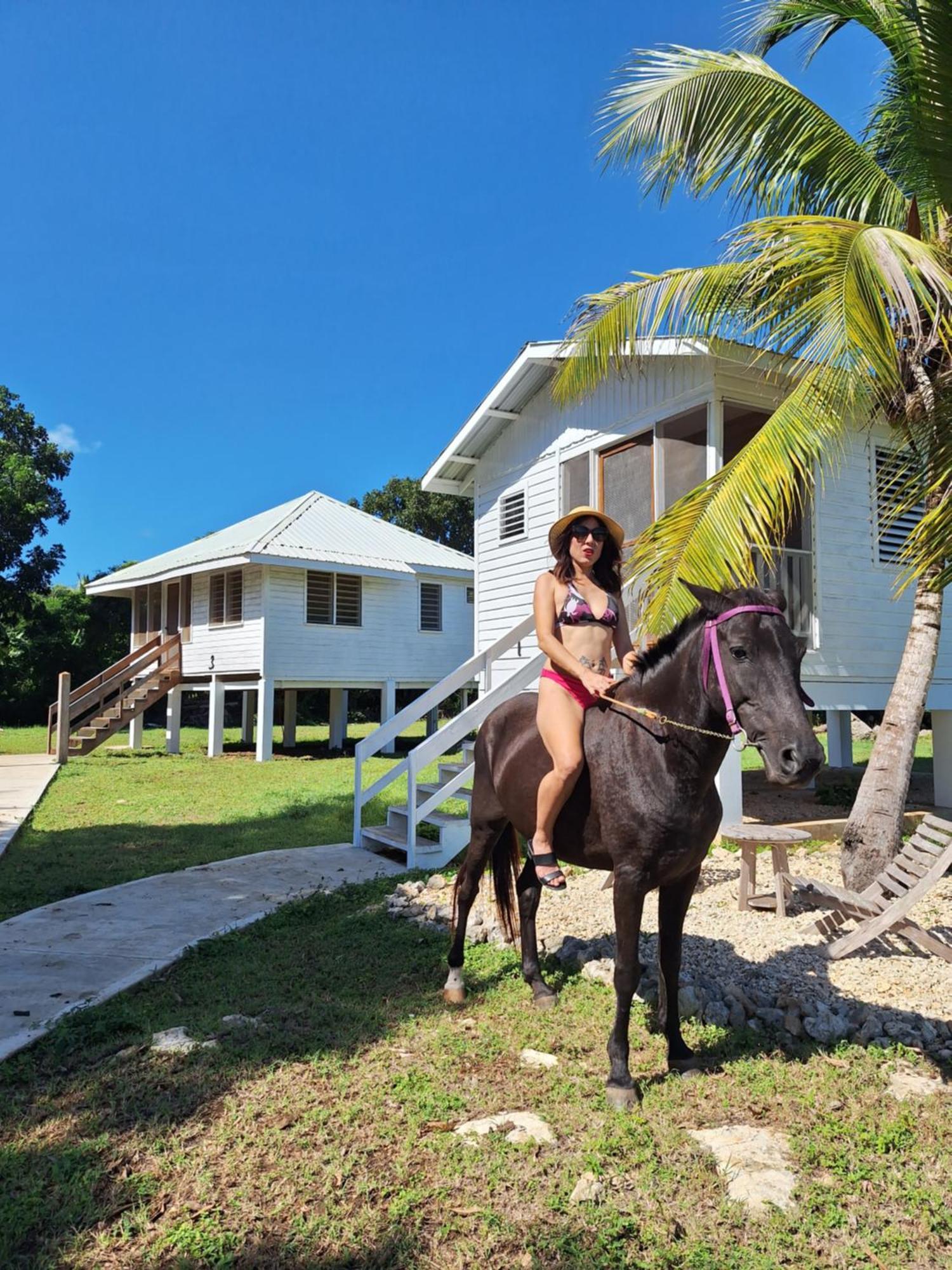 Horse Cottage Sarteneja Luaran gambar