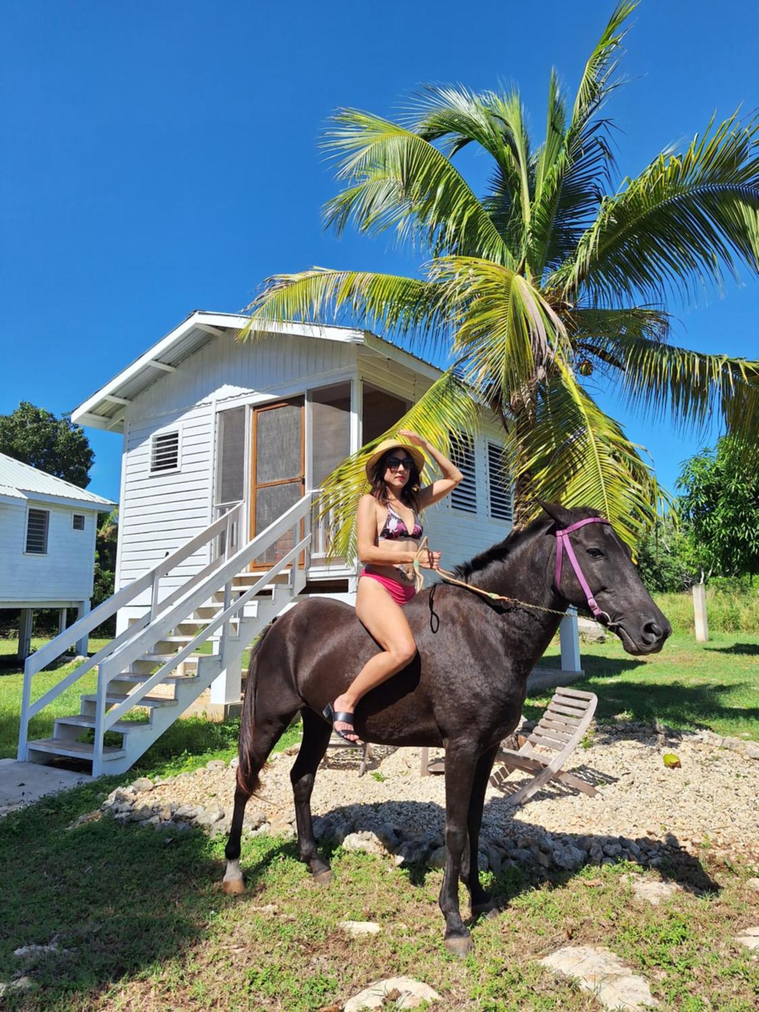 Horse Cottage Sarteneja Luaran gambar