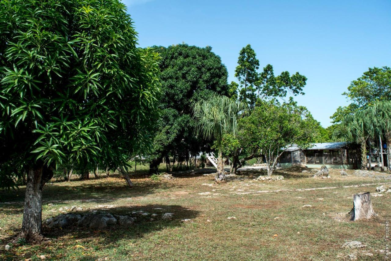 Horse Cottage Sarteneja Luaran gambar