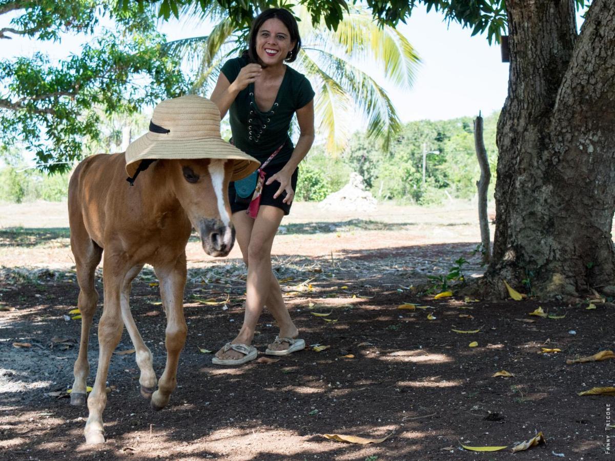 Horse Cottage Sarteneja Luaran gambar