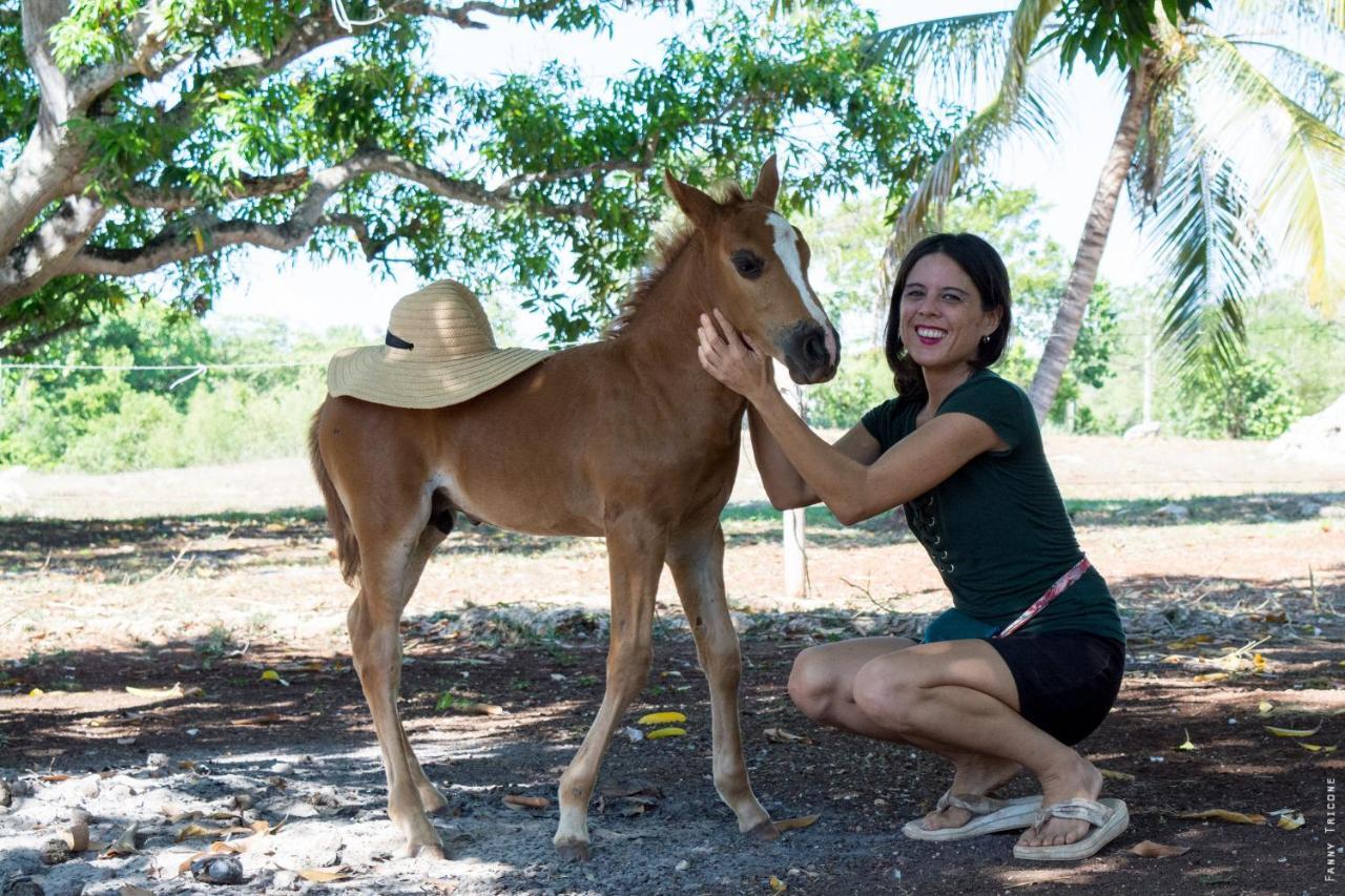 Horse Cottage Sarteneja Luaran gambar
